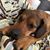 Stephanie Greene's profile image