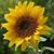Marcia McGinnis's profile image