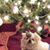 Debby Frost's profile image