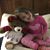 Misti Davis Edwards's profile image