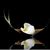 Patty Morales's profile image