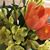 Tammy Mattson's profile image