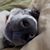 Julie An Robert Gaskins's profile image