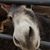 Trisha Ann Johnson's profile image