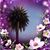 Pamela Ballard Brown's profile image