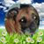 Mary Banning's profile image