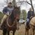 Tony Burlison's profile image
