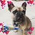 Jessica Blaska-Grady's profile image