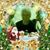 Wanda Rush Munsey's profile image