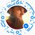 Brian Austin's profile image