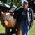 Kel Swett's profile image