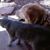 Yvonne M. Freeman's profile image