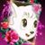 Kim Hawk's profile image