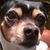 Betsy Costilla's profile image