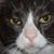 Becky Dotson's profile image