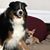 Anne Tuttle's profile image