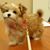 Vicki Soucie's profile image