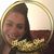 Kim Williams's profile image
