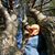 Elaine Boucher's profile image