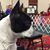 Carolyn Gastley's profile image