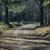 Judy Wright Johnson's profile image