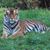 Rebecca Darnell Perez's profile image