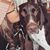 Bri Dombrowski-Meekhof's profile image