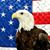 Scott Freeman's profile image