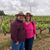 Dena Wilson Crow's profile image