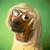 Tricia Anderson's profile image