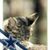 David Wetherby's profile image