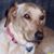 Vikki Myers-Francisco's profile image