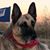 Allen Camarillo's profile image