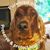 Ginger Kenney's profile image