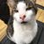 Hope Halleck's profile image