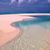 Sandy Dawn's profile image