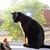 Terri Holle's profile image