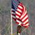 Dave Taylor's profile image