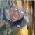 Kristine K Dot Askins's profile image