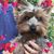 Sara Williams's profile image