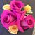 Jennifer Kerr Salinas's profile image