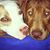 Ron Weigand's profile image