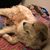 Julie Marshall's profile image