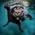 Jeff Dettmann's profile image