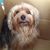 Deena Furgeson's profile image