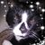 Floyd Andrew's profile image