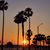 Julie Brown Warren's profile image
