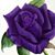 Vilma Branch's profile image