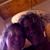 Diann McNeeley Murphy's profile image