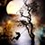 Jackie Jekic's profile image